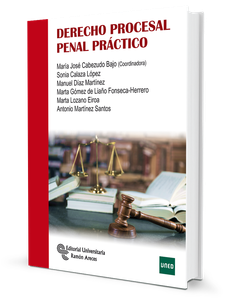 Derecho procesal penal práctico