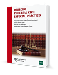 Derecho procesal civil especial práctico