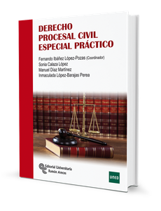 Derecho procesal civil especial práctico